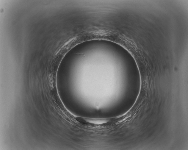 X0000085811205200703231327