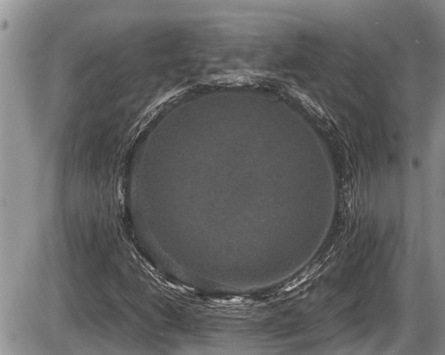 X0000085811206200703231327