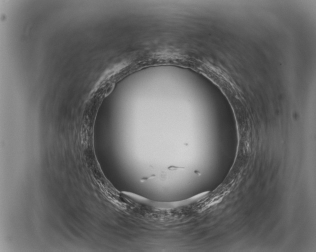 X0000085811207200703231327