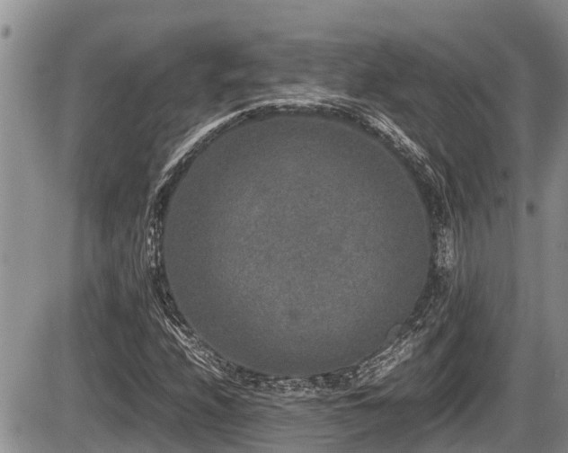 X0000085811208200703231327