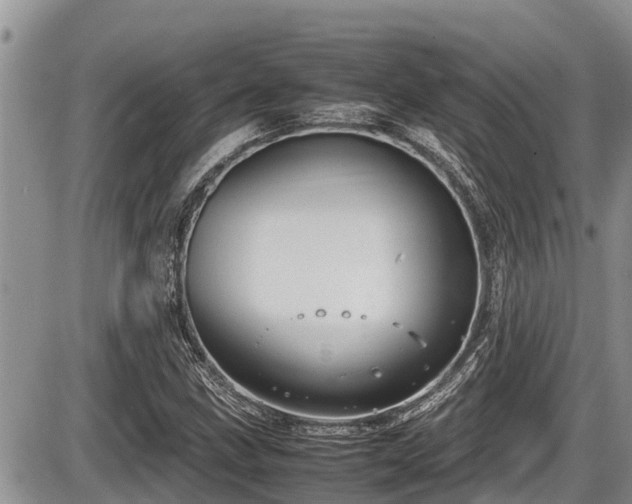 X0000085811211200703231327