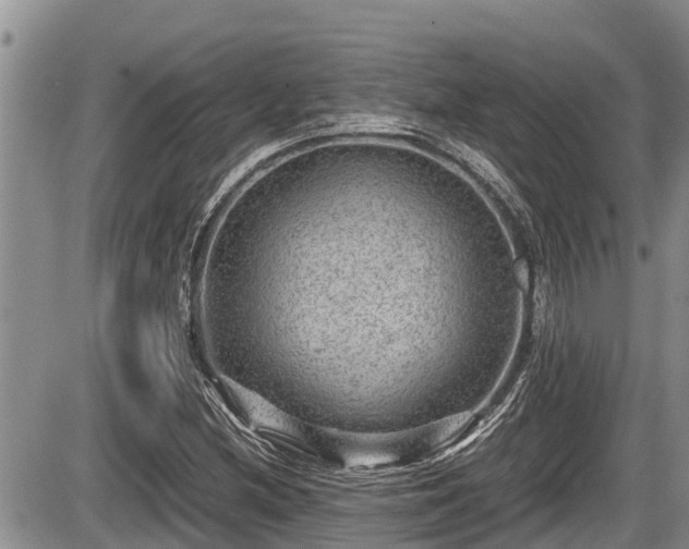 X0000085811212200703231327