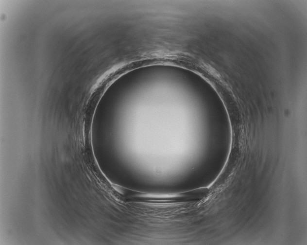 X0000085811214200703231327