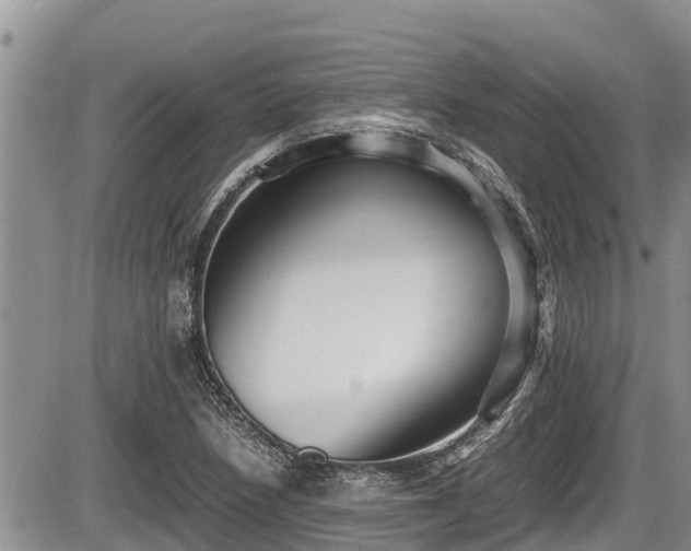 X0000085811218200703231327