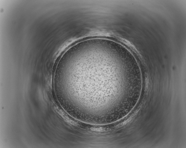 X0000085811220200703231327