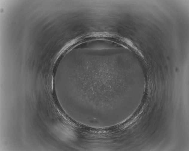 X0000085811221200703231327