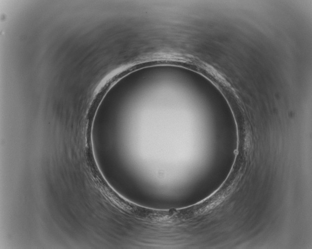 X0000085811222200703231327