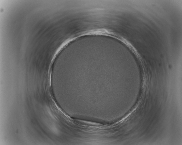 X0000085811224200703231327