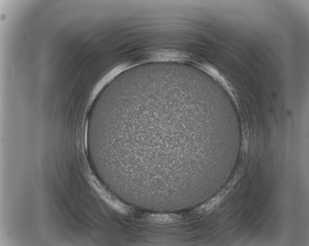 X0000085811227200703231327