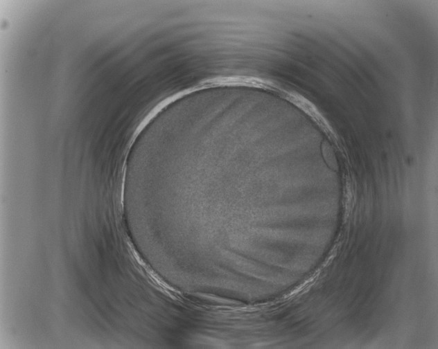 X0000085811228200703231327