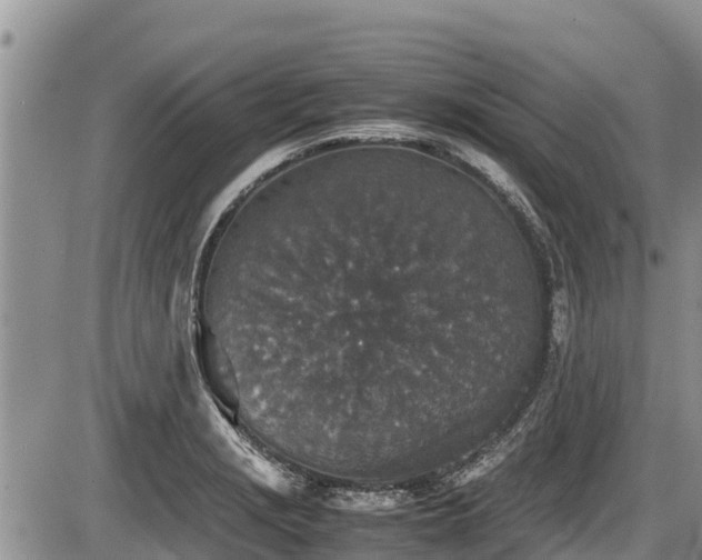 X0000085811229200703231327