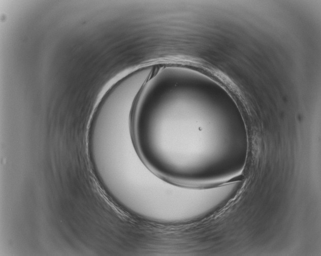 X0000085811230200703231327