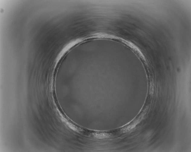 X0000085811231200703231327