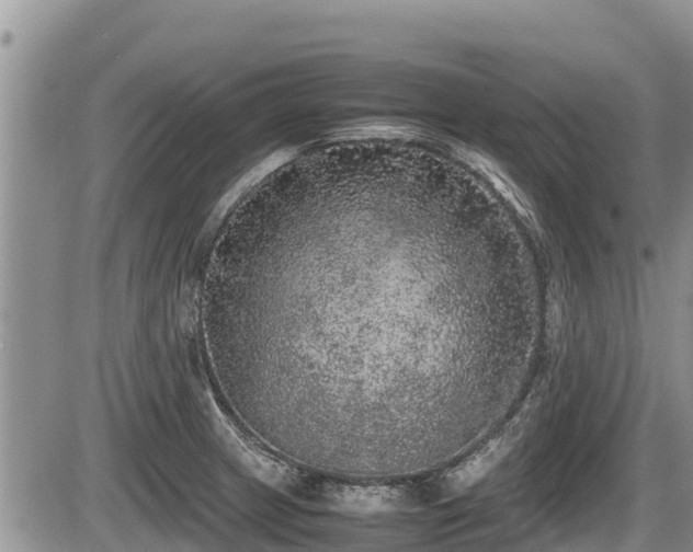 X0000085811233200703231327