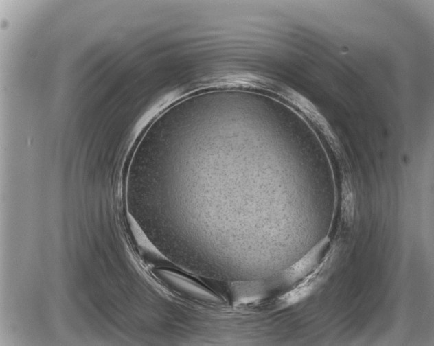 X0000085811234200703231327