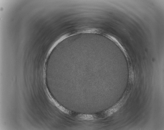 X0000085811235200703231327