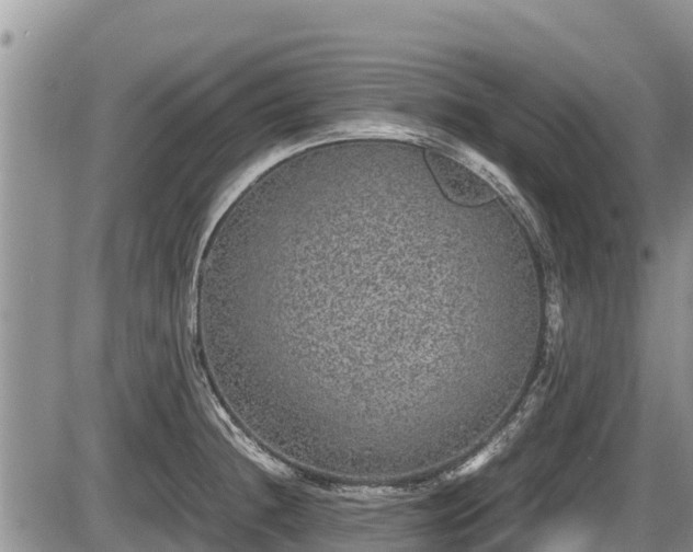 X0000085811236200703231327