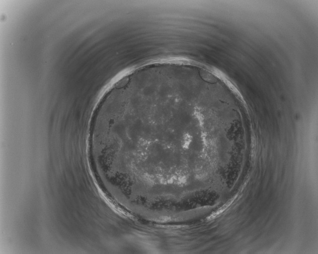 X0000085811237200703231327