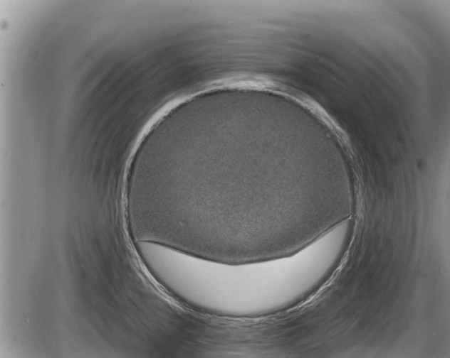 X0000085811240200703231327