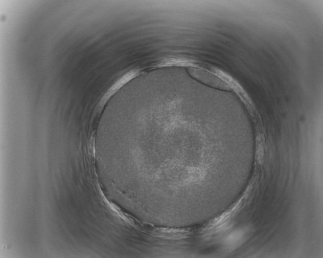 X0000085811241200703231327