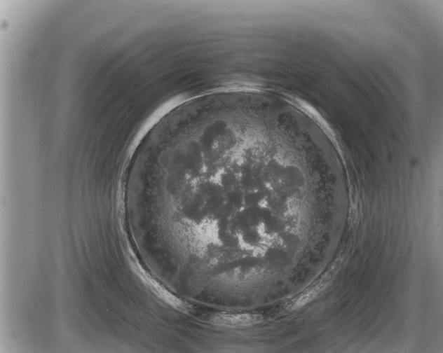 X0000085811243200703231327