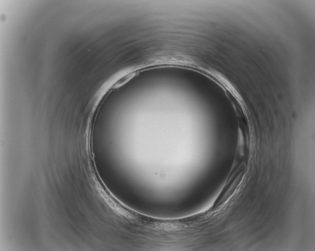 X0000085811246200703231327