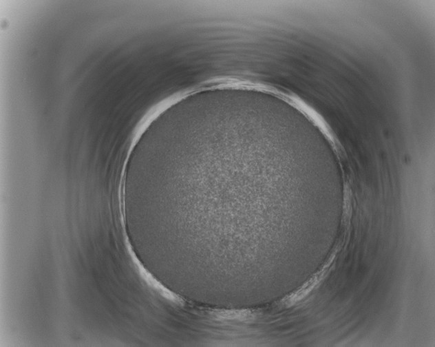 X0000085811247200703231327