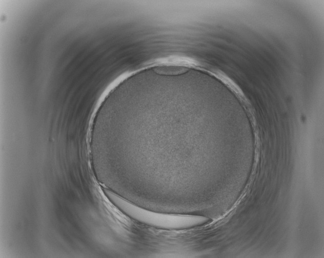 X0000085811248200703231327