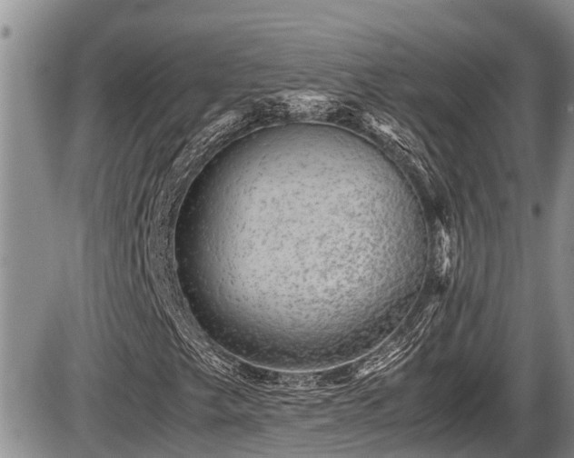 X0000085811249200703231327