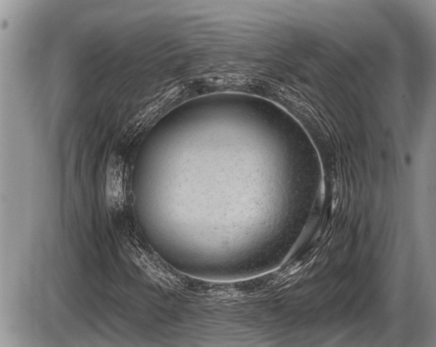 X0000085811250200703231327