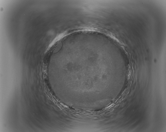 X0000085811255200703231327