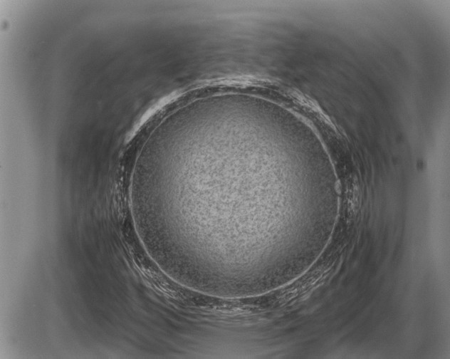 X0000085811256200703231327