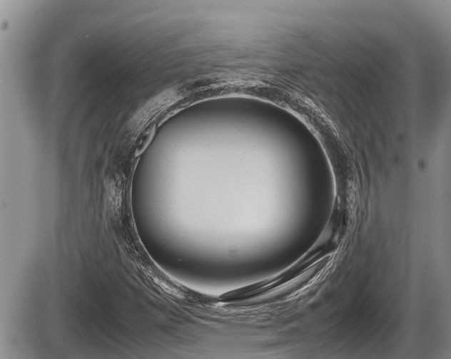 X0000085811257200703231326