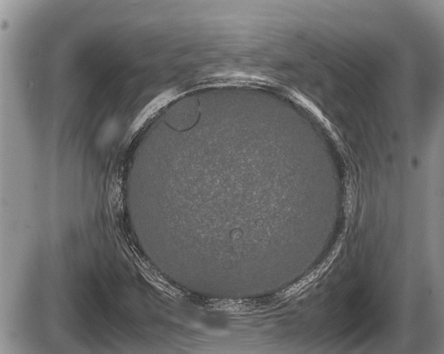 X0000085811259200703231326