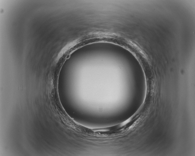 X0000085811261200703231326