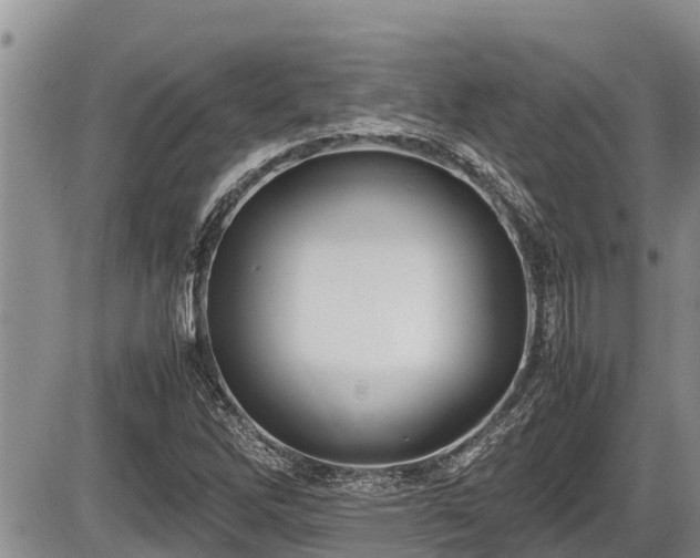 X0000085811262200703231326