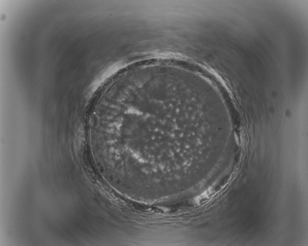 X0000085811263200703231326