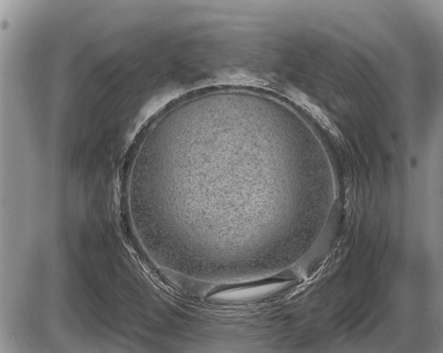 X0000085811264200703231326