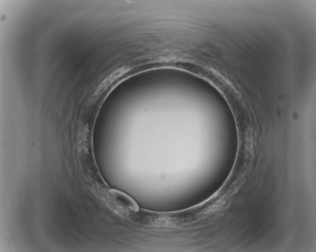 X0000085811265200703231326