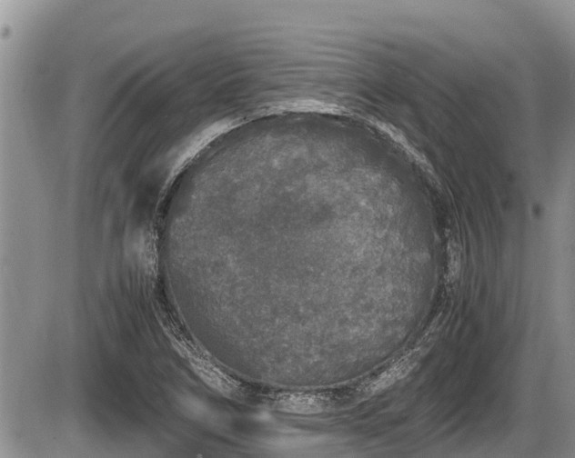 X0000085811266200703231326