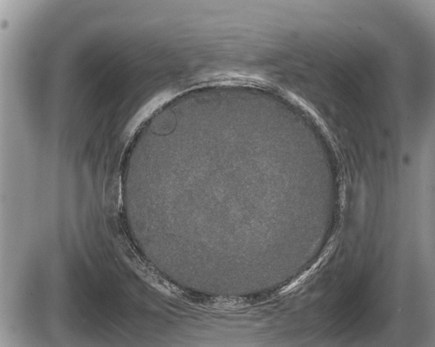 X0000085811267200703231326