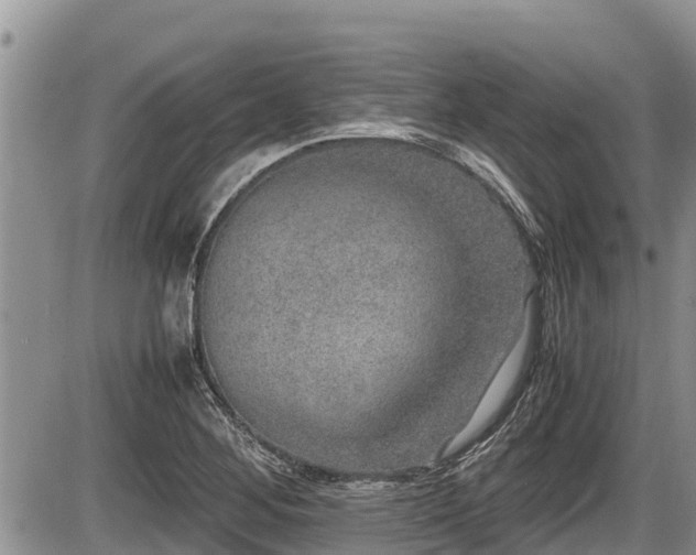 X0000085811268200703231326