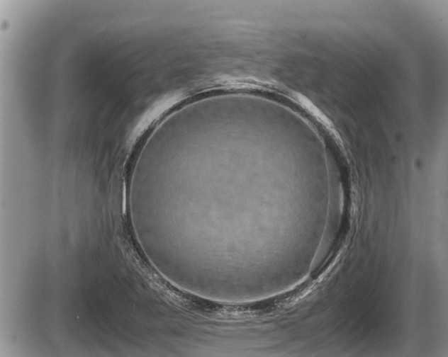 X0000085811269200703231326