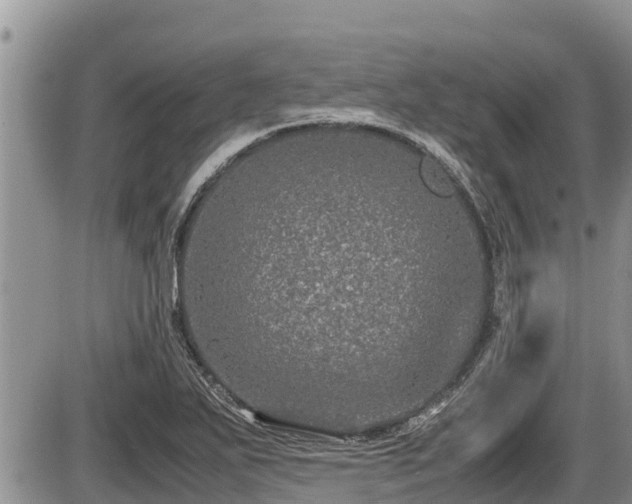 X0000085811271200703231326