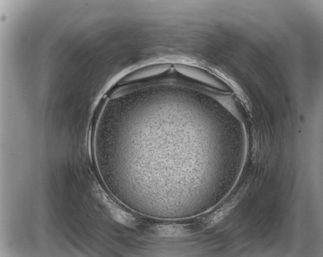 X0000085811272200703231326