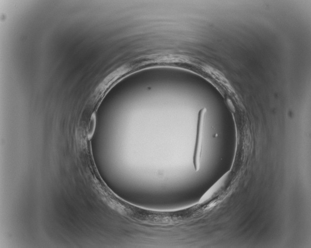 X0000085811273200703231326