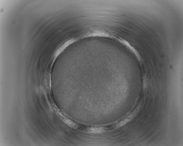 X0000085811274200703231326