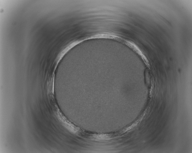 X0000085811276200703231326