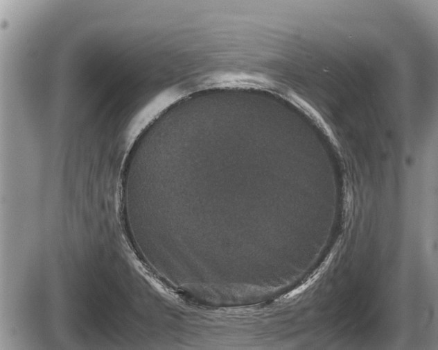 X0000085811277200703231326