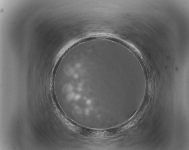 X0000085811279200703231326